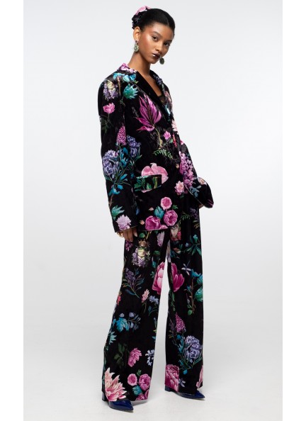 PEACE AND CHAOS AZELEA PANTS - Velvet